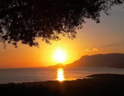 Su Paradisu Appartamento Olbia Esterno foto