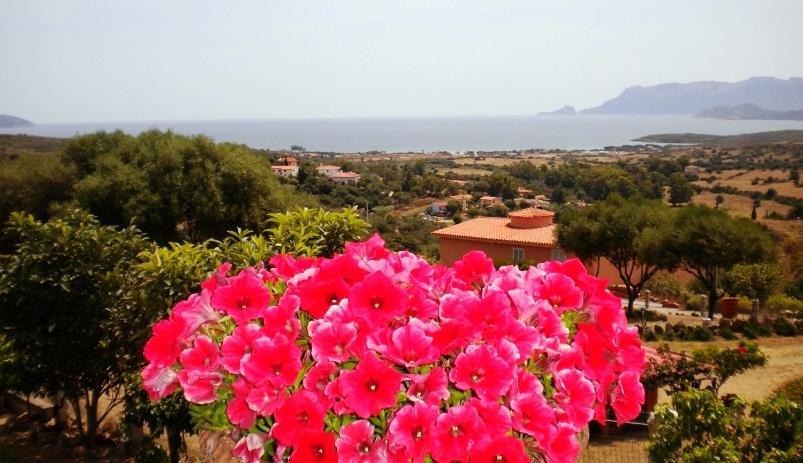 Su Paradisu Appartamento Olbia Esterno foto