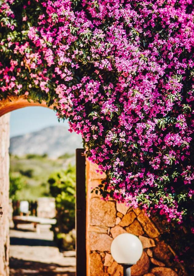 Su Paradisu Appartamento Olbia Esterno foto